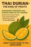 Experience the King of Fruits – Premium Thai Durian from SO OK TRADING Sweet and creamy flavor, guaranteed ripeness, direct from farm to your hands worldwide.