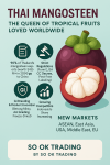 Thai Mangosteen: The Queen of Tropical Fruits Loved Worldwide by SO OK TRADING
