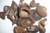 PALM KERNEL SHELL