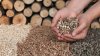 Wood Pellets — A Clean Energy Source Green Energy for Carbon Credit (BY SOOK TRADING) Wood Pellets — A Clean Energy Source Green Energy for Carbon Credit (BY SOOK TRADING)