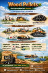 “Wood Pellets: Strategic Energy of the Future — Transforming Thailand’s Economy, From Waste Wood to Clean Energy, Creating Revenue and Carbon Credits, Unlocking New Opportunities in the Global Market”