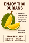 Thai Durian (Monthong) — AAA Grade