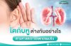 ไตกับหู