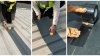 Roof seal tape Roof seal tape