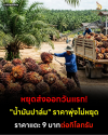 หยุดส่งออกวันแรก! "น้ำมันปาล์ม" ราคาพุ่งไม่หยุด แตะ 9 บาท/กก. หยุดส่งออกวันแรก! "น้ำมันปาล์ม" ราคาพุ่งไม่หยุด แตะ 9 บาท/กก.