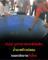 ระวัง! บุกทลายแหล่งผลิต น้ำมะพร้าวปลอม ส่งขายทั่วกรุง ระวัง! บุกทลายแหล่งผลิต น้ำมะพร้าวปลอม ส่งขายทั่วกรุง