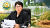 อ้อยเนื้อเยื่อ-เมล็ดพันธุ์ข้าวจากต่างประเทศจะเข้าไทย? กรมวิชาการเกษตรพิจารณาคำขอ “เพื่อวิจัย” ไม่ใช่นำเข้าขาย อ้อยเนื้อเยื่อ-เมล็ดพันธุ์ข้าวจากต่างประเทศจะเข้าไทย? กรมวิชาการเกษตรพิจารณาคำขอ “เพื่อวิจัย” ไม่ใช่นำเข้าขาย