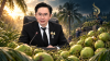 ราคามะพร้าวแก่ตกต่ำ! บอร์ดพืชน้ำมันถก “โครงการดูดซับปี 69” ขอใช้งบกองทุนช่วยเกษตรกร—ยังไม่เคาะวงเงิน-ราคารับซื้อ ราคามะพร้าวแก่ตกต่ำ! บอร์ดพืชน้ำมันถก “โครงการดูดซับปี 69” ขอใช้งบกองทุนช่วยเกษตรกร—ยังไม่เคาะวงเงิน-ราคารับซื้อ
