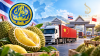 ทุเรียนไทยเด่นค้าผ่านแดน! ส.ค. ส่งออก 9,801 ล้าน ตลาดจีนหนุนผลไม้ไทยคึกคัก ทุเรียนไทยเด่นค้าผ่านแดน! ส.ค. ส่งออก 9,801 ล้าน ตลาดจีนหนุนผลไม้ไทยคึกคัก