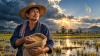 กรมการข้าวหารือเยียวยา–ฟื้นฟู เน้นเมล็ดพันธุ์ แต่ยังไม่มีวงเงินหรือวันจ่ายใหม่ ชาวนาประสบภัยรอลุ้นมาตรการเพิ่ม!