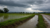 อุตุฯ เตือนเหนือ–อีสาน ฝนหนักถึงหนักมากบางแห่ง 4–7 ก.ย. พื้นที่ลุ่ม–เชิงเขาระวังน้ำหลาก อุตุฯ เตือนเหนือ–อีสาน ฝนหนักถึงหนักมากบางแห่ง 4–7 ก.ย. พื้นที่ลุ่ม–เชิงเขาระวังน้ำหลาก