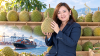 ทุเรียนมาเลเซียถึงจีนทางเรือใน 12 วัน! ทดลอง 2 ตันยังสด—คู่แข่งไทยกำลังแก้โจทย์ “ค่าขนส่ง” ทุเรียนมาเลเซียถึงจีนทางเรือใน 12 วัน! ทดลอง 2 ตันยังสด—คู่แข่งไทยกำลังแก้โจทย์ “ค่าขนส่ง”