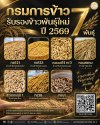 กรมการข้าว รับรองข้าวพันธุ์ใหม่ ปี 2569 จำนวน 7 พันธุ์ กรมการข้าว รับรองข้าวพันธุ์ใหม่ ปี 2569 จำนวน 7 พันธุ์