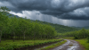 กยท.ตั้งรับฝนหนัก เฝ้า 6 จังหวัด จับตาชาวสวนยางน่าน 3,500 ราย กยท.ตั้งรับฝนหนัก เฝ้า 6 จังหวัด จับตาชาวสวนยางน่าน 3,500 ราย