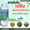 เตชิน ขนาด 1 ลิตร  ยาจับใบชนิดเข้มข้น สารเสริมประสิทธิภาพ แบบเดียวกับ แอ็ปซ่า-80 หรือ A-FORCH เอฟอช