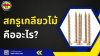 สกรูเกลียวไม้ ตัวช่วยงานช่างไม้ที่ใช้งานสะดวก ยึดแน่น ทนทาน ! สกรูเกลียวไม้ ตัวช่วยงานช่างไม้ที่ใช้งานสะดวก ยึดแน่น ทนทาน !