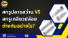 สกรูปลายสว่าน VS สกรูเกลียวปล่อย ความเหมือนและความต่างที่ต้องรู้ก่อนใช้งาน สกรูปลายสว่าน VS สกรูเกลียวปล่อย ความเหมือนและความต่างที่ต้องรู้ก่อนใช้งาน