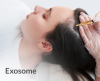 Exosome Exosome