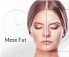 Meso Fat Meso Fat