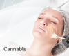 Cannabis Cannabis
