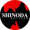 Shinoda