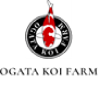 Ogata