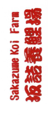 Sakazume