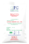 MAXXI