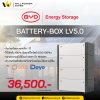 BYD LV5.0 BATTERY