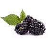 Rubus fruticosus Fruit Extract Rubus fruticosus Fruit Extract