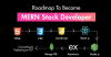 How Can You Become a MERN Full-Stack Developer with One Course?