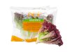 ORGANIC RED CORAL LETTUCE