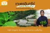 วิถีเกษตรอินทรีย์แบบผสมผสาน ความสมดุลที่งดงามจากยอดดอย วิถีเกษตรอินทรีย์แบบผสมผสาน ความสมดุลที่งดงามจากยอดดอย