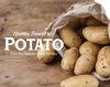 Healthy Benefits of Potato Healthy Benefits of Potato