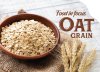 Food in Focus Oat Grain Food in Focus Oat Grain