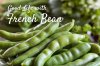 Good Life with French Bean ถั่วแขก พลังสีเขียวเพื่อชีวิตชีวาและการชะลอวัยอย่างเป็นธรรมชาติ
