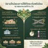 ซื้อวันนี้ กำไรตั้งแต่วันโอน! ที่ดินทำเลทอง ผืนสุดท้ายใจกลางงามวงศ์วาน 15