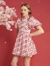 Sakura Jacquard Mini Dress