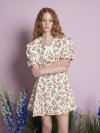 Wild Rose Mini Dress