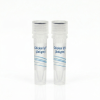 Chicken IgY (Antigen)
