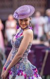 Fashion for Elephants