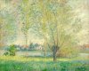 The Willows