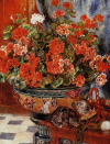 Geraniums and Cats