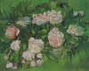Pink Roses