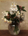 Spring Flowers
