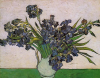 Still Life Vase with Irises