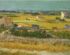 The Harvest