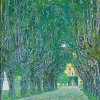 Allee vor Schloss Kammer