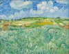 Plain at Auvers with rain clouds