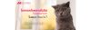 โรคทอกโซพลาสโมซิสในแมว (Toxoplasmosis) โรคทอกโซพลาสโมซิสในแมว (Toxoplasmosis)